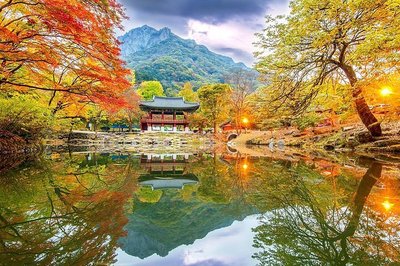 🌳 나가라 공원(나가라 코우엔)